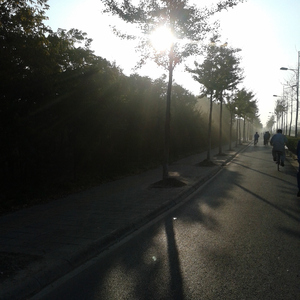 少萝自慰喷浆❌❌❌91
