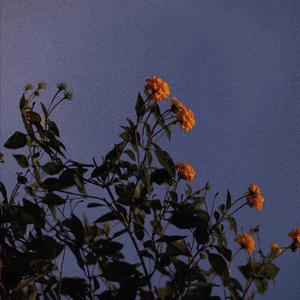 少萝自慰喷浆❌❌❌91
